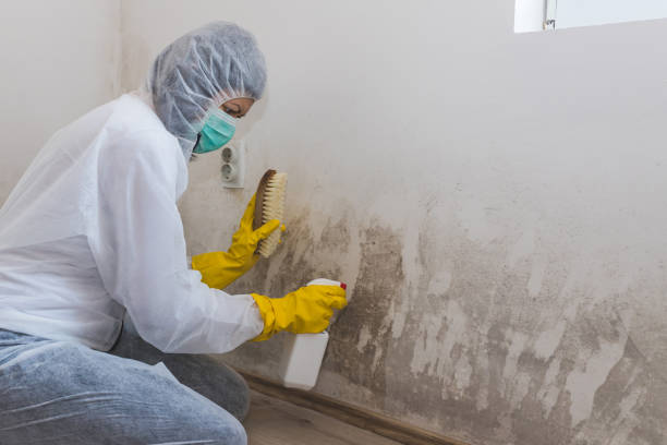 Best Mold Testing  in Summerside, OH