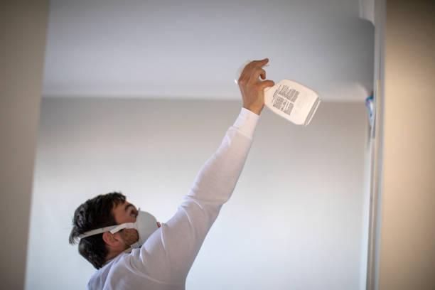 Best Local Mold Removal Service  in Summerside, OH