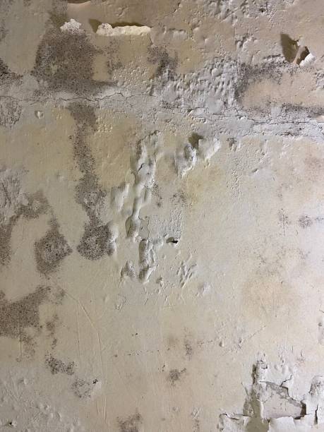 Best Mold Testing  in Summerside, OH